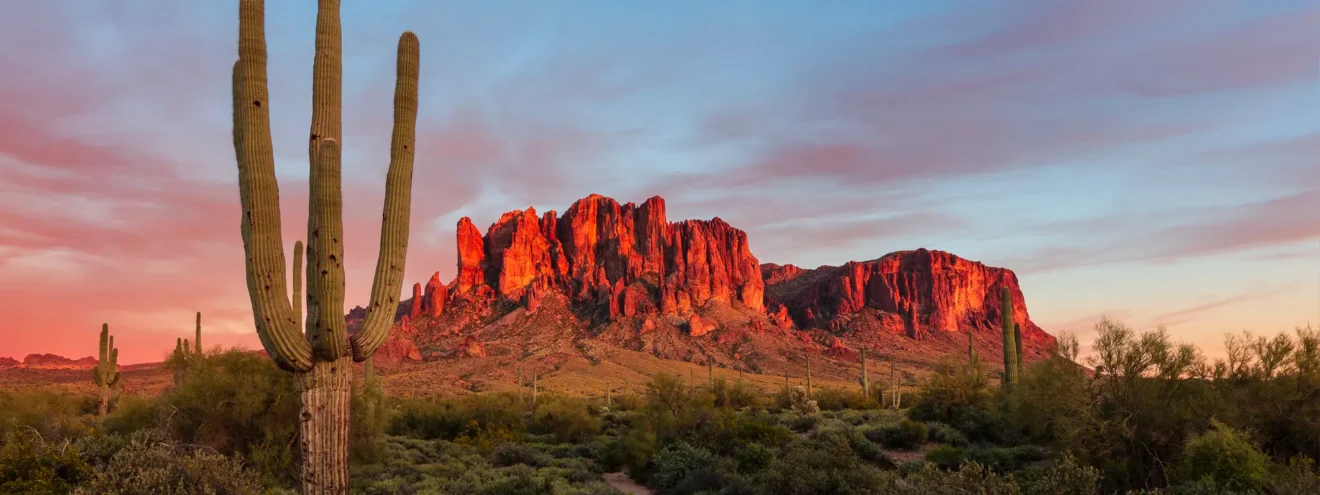 Sunrise view of a cactus in the foreground and mountains in the background in a Phoeniz, Arizona desert.