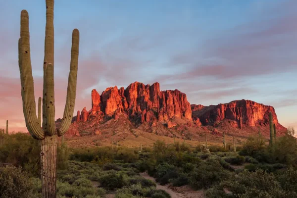 Sunrise view of a cactus in the foreground and mountains in the background in a Phoeniz, Arizona desert.